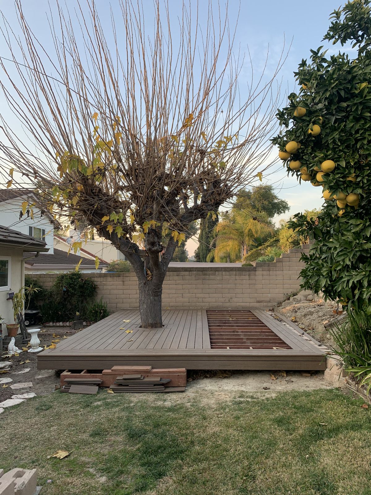 Platform deck under construction around a mature tree in winter